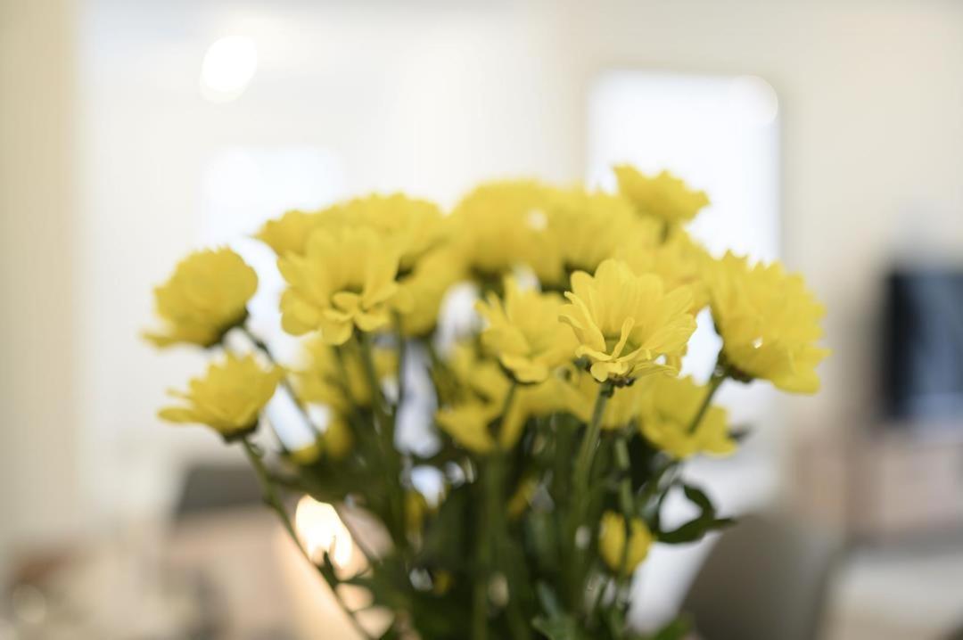 Enzian Apartments 그라이나우 외부 사진
